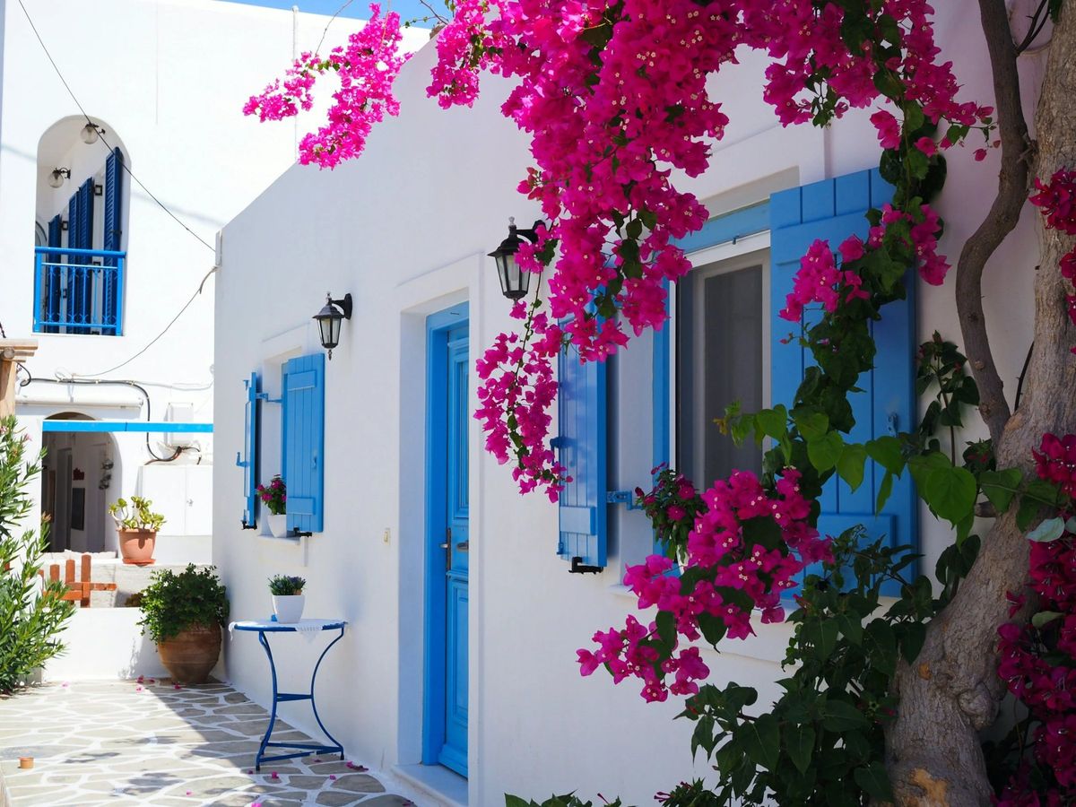 Bougainvillea over a whitewashed alley with blue shutters