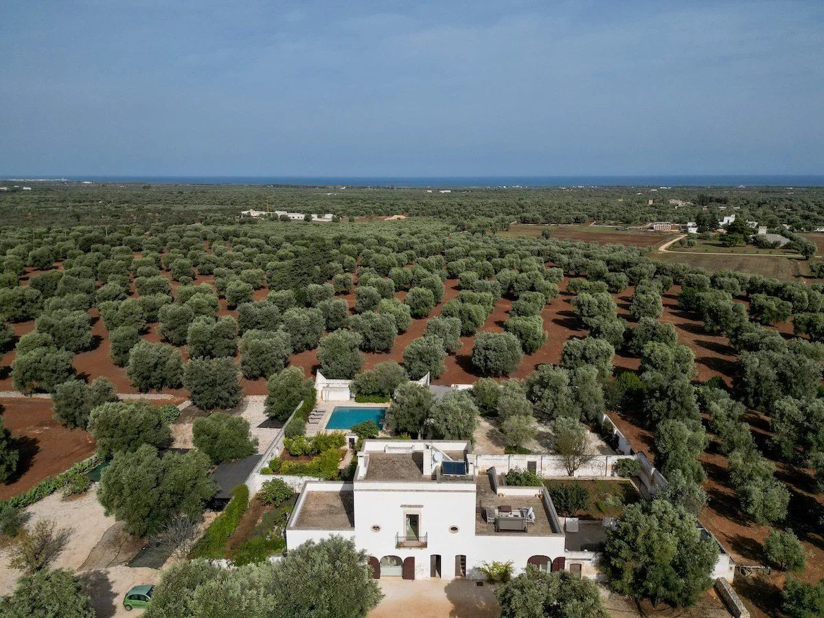 Aerial view of a white masseria among the olive groves of Puglia
